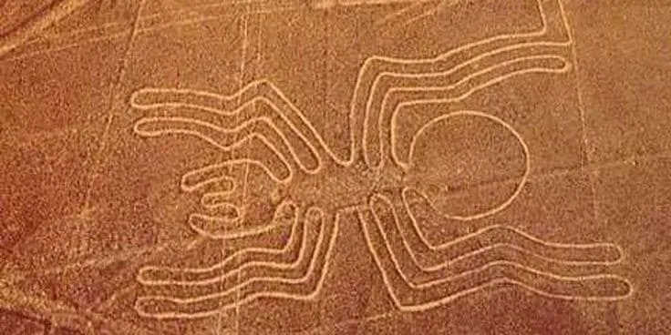 A enigmatica aranha Nazca