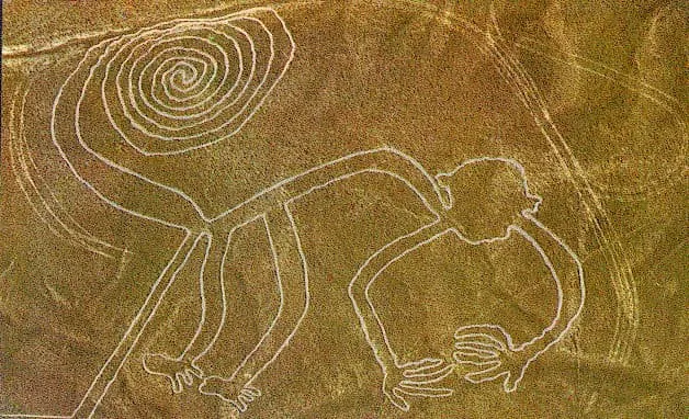 O macaco Nazca
