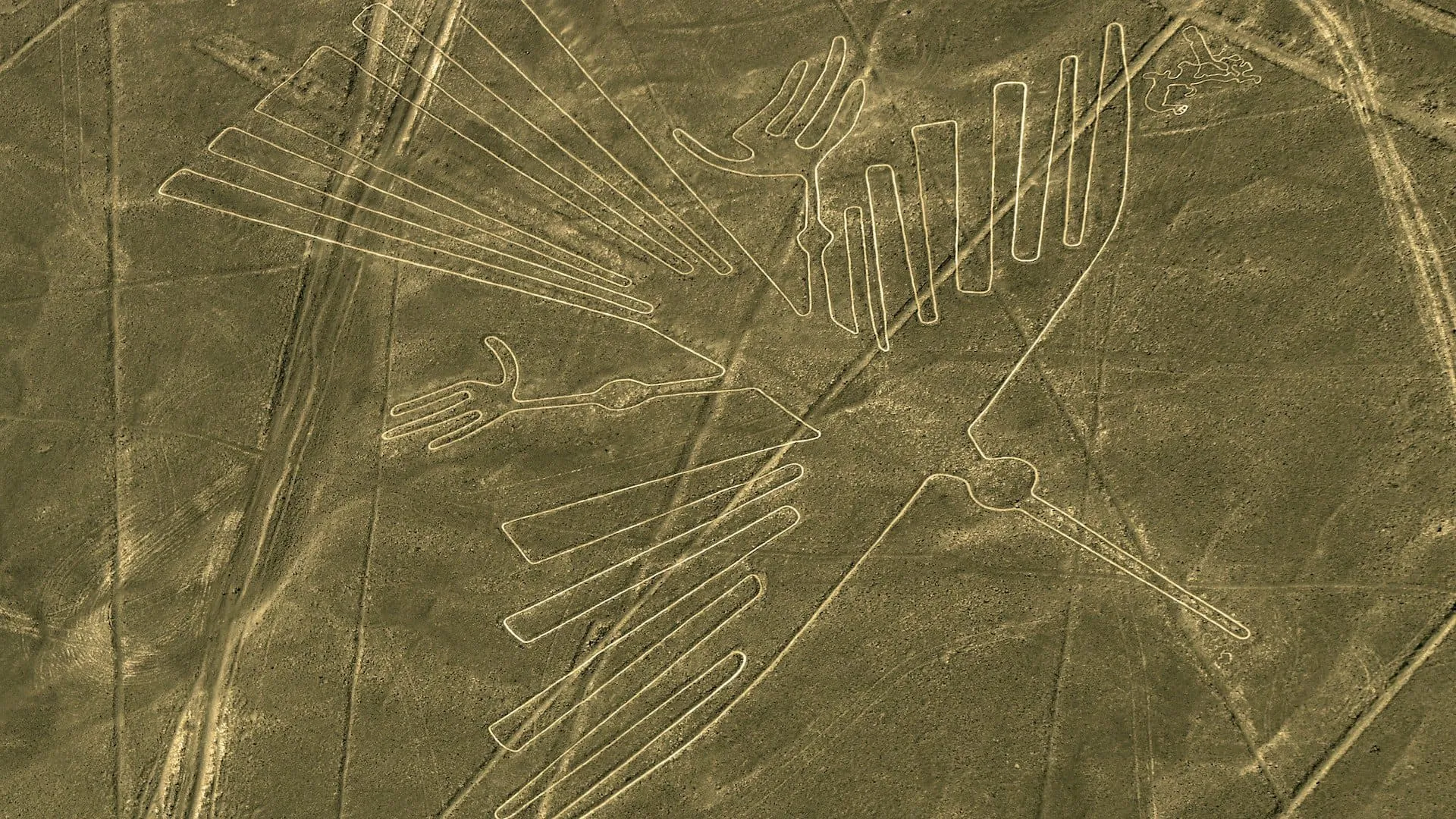 O magnifico condor Nazca