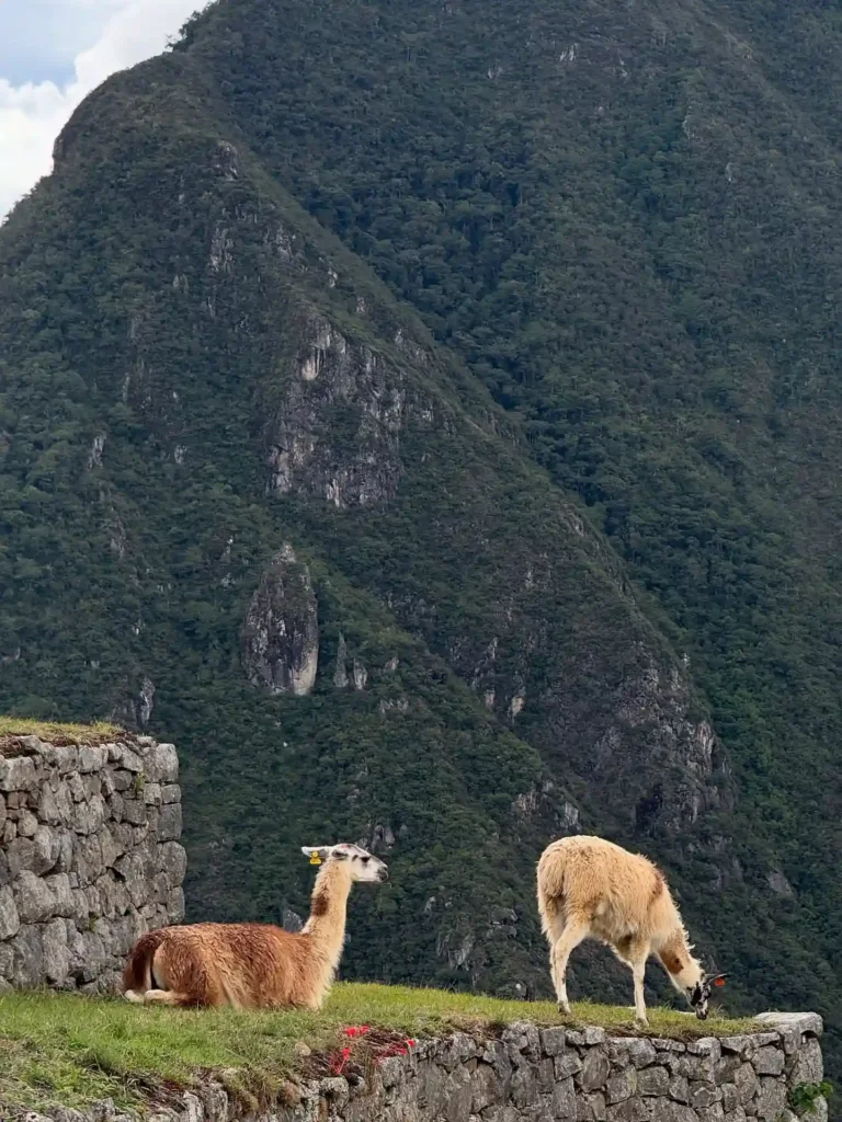 Pacote para o Peru: Lima, Cusco e Puno – 9 dias